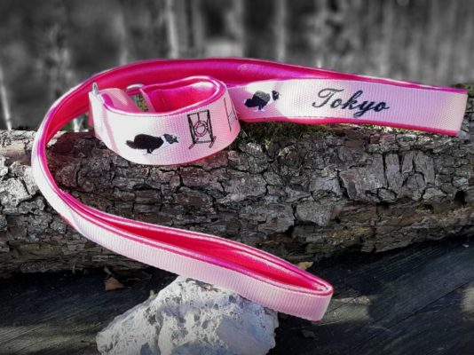 Ensemble Laisse mousqueton/ Collier Martingale Agility