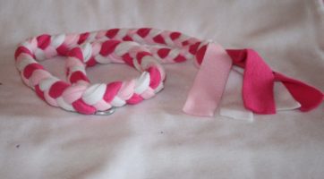 Laisse lasso polaire