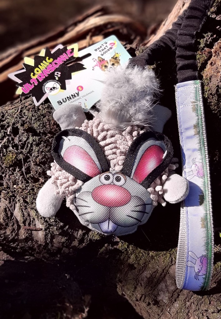 Petit doudou à ultrasons