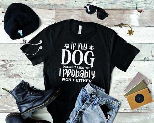 [FtsDreamteam-1-2-1] If my dog doesn t like you