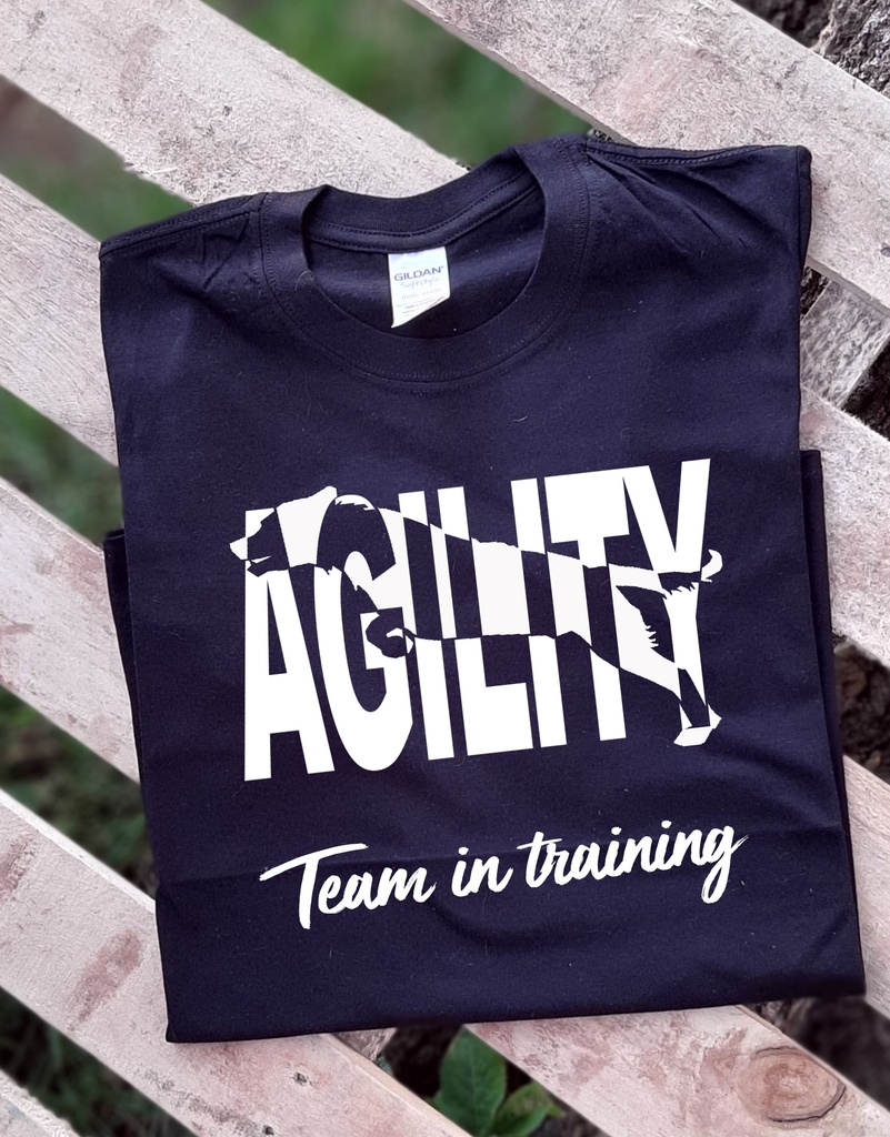 Agility team
