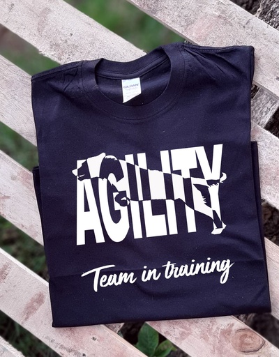 [FtsDreamteam-1-3-1] Agility team