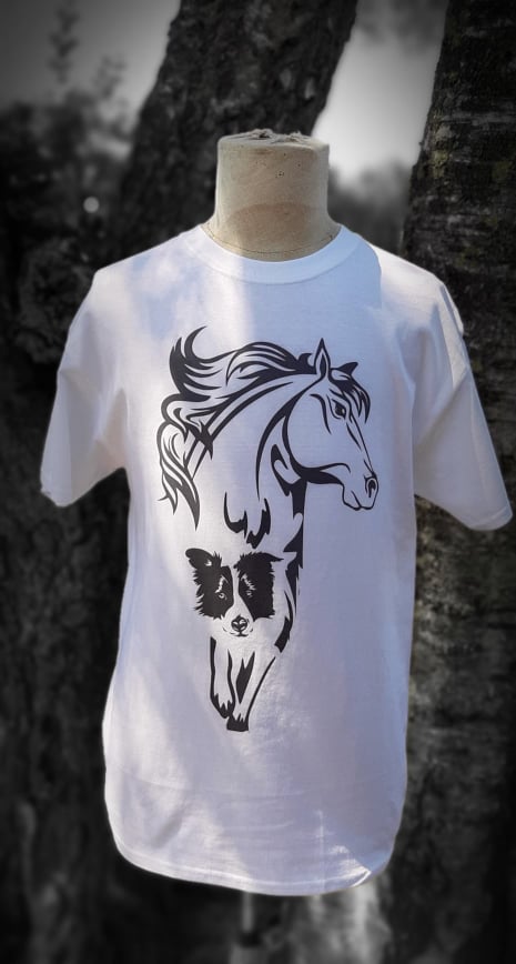 Border Collie Et Cheval