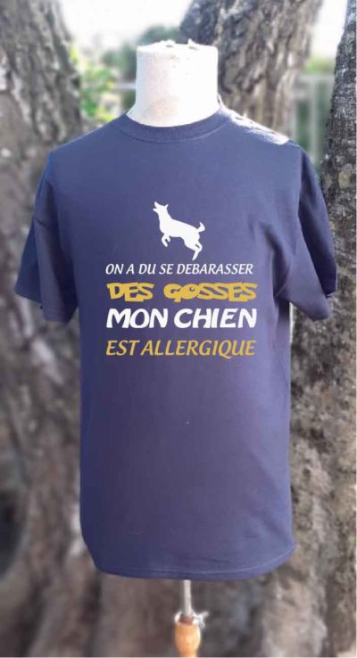 Chien allergique