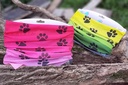 Snood pattes de chien