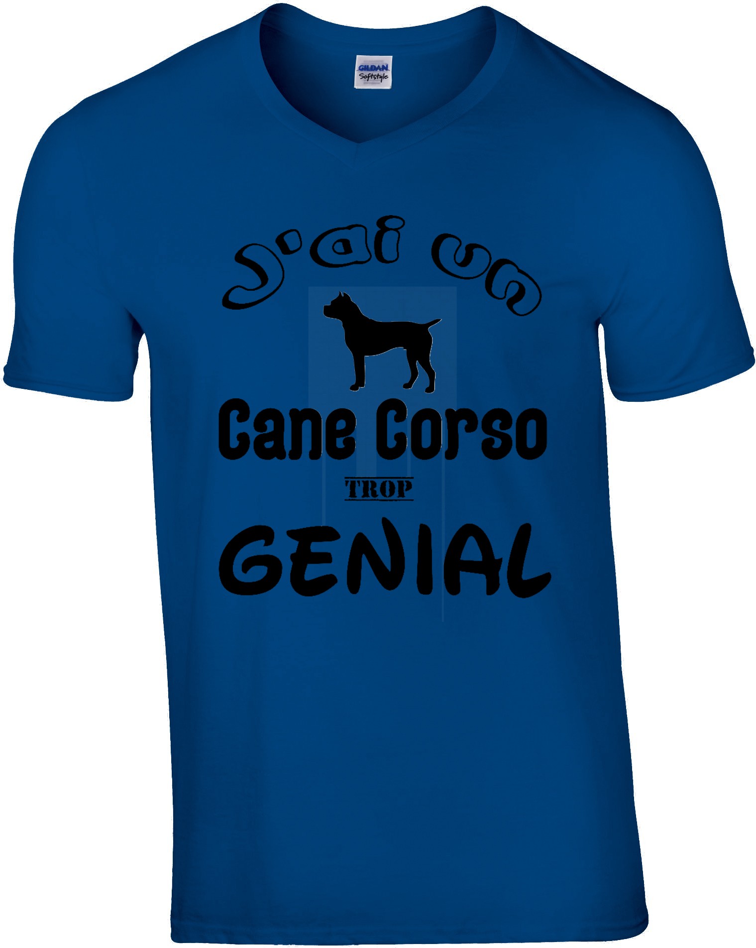 Cane Corso génial