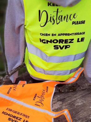 Gilet de sécurité humain