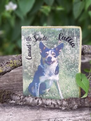 Protège Carnet de Santé