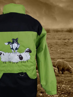 Broderies chien